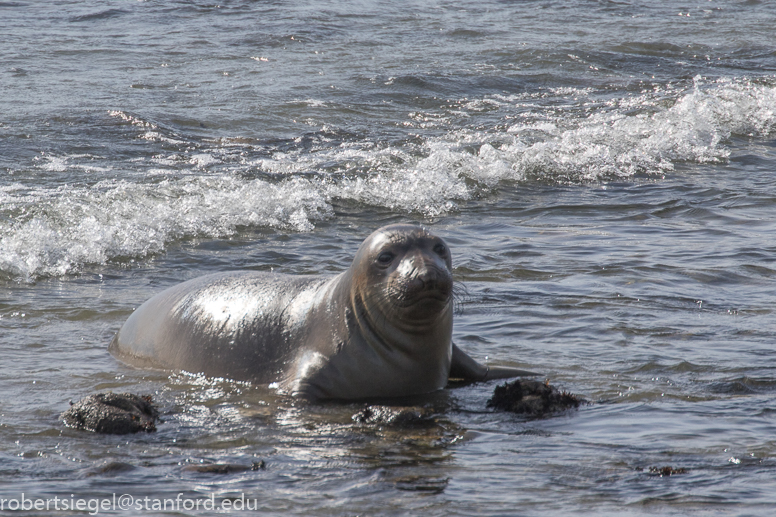 class at bight beach